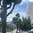 CU 동해천곡샘실점 이미지