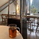 은계골드약국 | 2월 일상