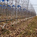 경상북도 농업기술원 이미지