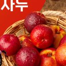 순삭과일