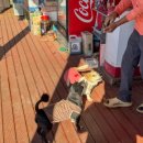 두식이펜션 이미지