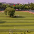 축구장 - 이천시 영창로 228 | 축구장