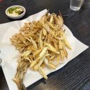 11500-17-44-04 이미지