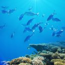 연명어촌체험마을 이미지