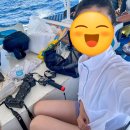 대한열대어 | 필리핀 세부 호핑투어 추천 종류 , 날루수안 열대어 스노쿨링 단독 후기