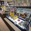 스택빈 평택팽성점 이미지