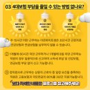 세무법인가야 이미지