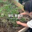 레고팜 | 대구근교 아이랑 실내 갈만한곳 눈썰매 허브체험 청도 팜하리