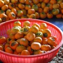 상동농장 이미지