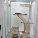 멍냥이 스토리 이미지