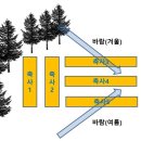 한들농장 이미지