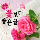 고지혈증에 엄청나게 좋은 음식 15가지 🍒 이미지