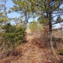 대투정비 이미지