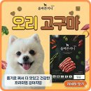 좋은강아지 | 강아지사료추천 국개대표 올바른끼니플러스 기호성좋은강아지사료 후기