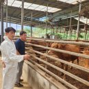 예천한우 이미지