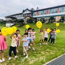 정읍 보성초등학교 정읍시사