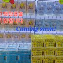 혜안마트 이미지