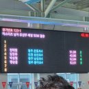 태암정보 | 운동도, 교육도 되는 우리 아이 수업 추천드려요 | 청주 수영장 2026 여름방학 특강