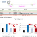 보이차 효능 10가지와 보이차 부작용 이미지