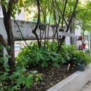 순라스테이 이미지