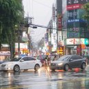 아리솔약국 이미지