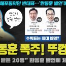 비명계 패닉 한동훈 때문에 망했다 이미지