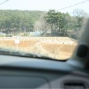 정관신도시주유소 이미지