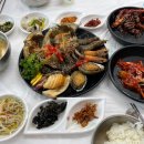 총각네애견 이미지