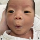 한나산후조리원 이미지