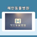 혜민동물병원 이미지