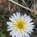 창조농장 이미지