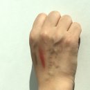 브로우페페 | ★인생쿠션★ 페페라페 UV 코팅쿠션/ 24시간 지속력, 커버력, 수분감/ 사은품 빵빵 / 본사 공식판매처 /