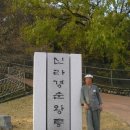 김성영농장 Daum카페