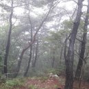 충북알프스자연휴양림 이미지