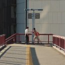 해피엔드(Happyend, 2024) 영화 후기 : 비록 그것이 사라질 것에 부치는 휘발성 낭만이라 할지라도.