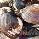 거제도식당 이미지