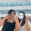 (주)몸부림 이미지