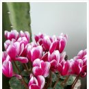 복권목장 이미지