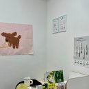 이븐래쉬