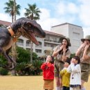 하이제주호텔 이미지