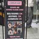 로데르헤어