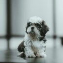 참동물의료센터 이미지