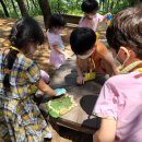 모라산림공원 이미지