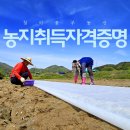 부동농장 이미지