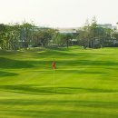 테디벨리골프장 4 이미지