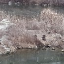 치악산둘레길 1코스 꽃밭머리길 이미지