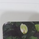 (주)드림테크 이미지