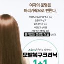 미용재료 이미지