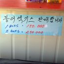 영천 참붕어 이미지