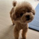 가평뒷동산길 | 산책광공의 4월 일상